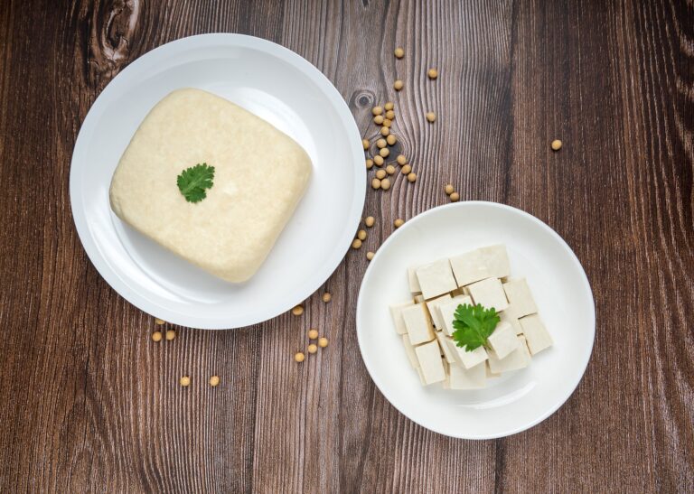 Tofu, cea mai bună alternativă la carne