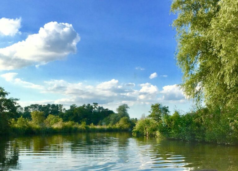 Excursii in Delta Dunării