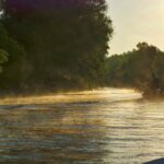 Murighiol – Delta Dunării: Excursii și Pescuit