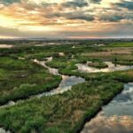Cazare în Delta Dunării: Pensiuni, Agropensiuni și Camping
