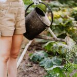 Secretele unei Grădini de Vis: Sfaturi Pentru Îngrijirea Plantelor și Spații Verzi