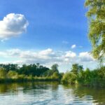 Cazare în Delta Dunării: Descoperă Partizanii și Maliuc