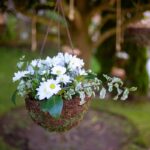 Aranjamente florale suspendate – ghivece și suporturi ingenioase