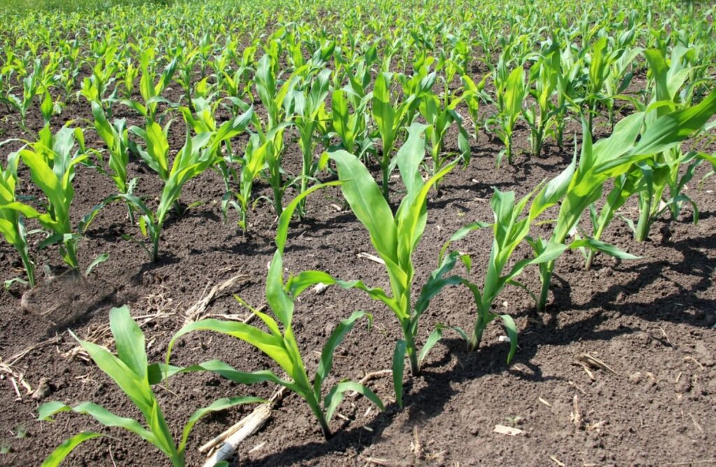 e11daf3273e0c9b4481b6b6b6514d2d8d9